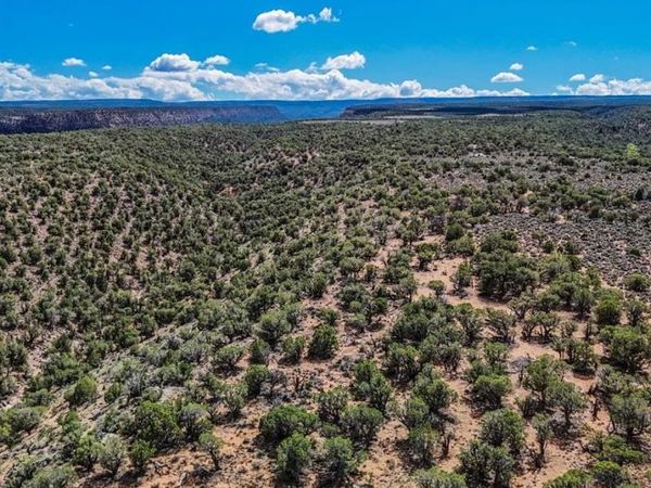 TBD Tract 33 Beaver Hill Heights, Montrose, CO 81403