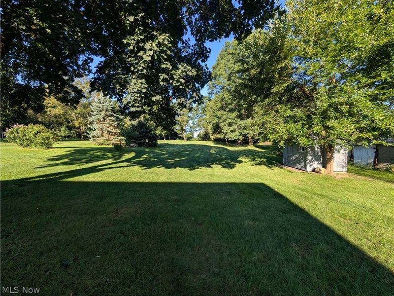 295 N Church Street, Dalton, OH 44618 Photo 6
