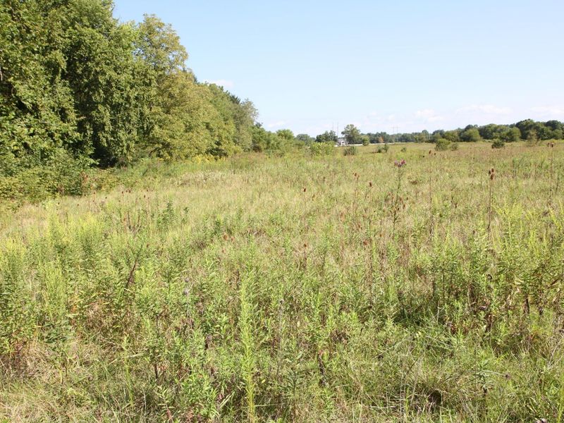 4350 Us-42 S, Delaware, OH 43015 Photo 2