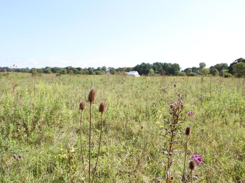 4350 Us-42 S, Delaware, OH 43015 Photo 3
