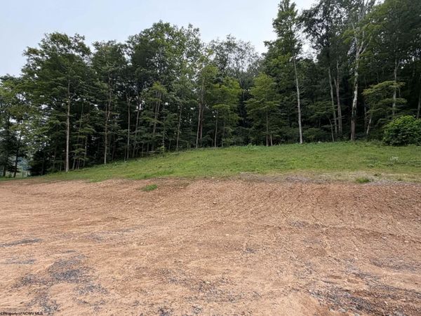 TBD Pharis Road, Belington, WV 26250