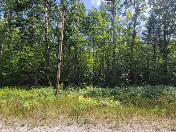 15097 Avenue D, Wolverine, MI 49799