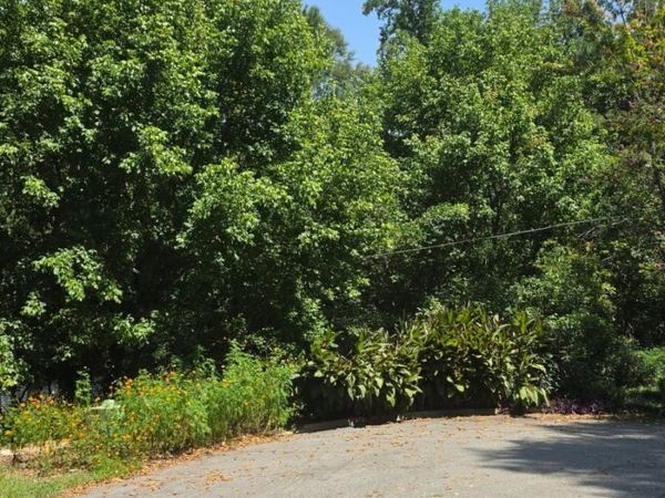 3407 Lawrence Street, Scottdale, GA 30079
