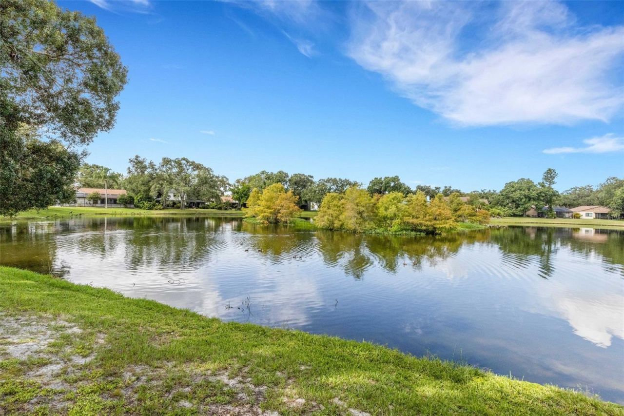 3476 Shady Brook Lane, Sarasota, FL 34243 Photo