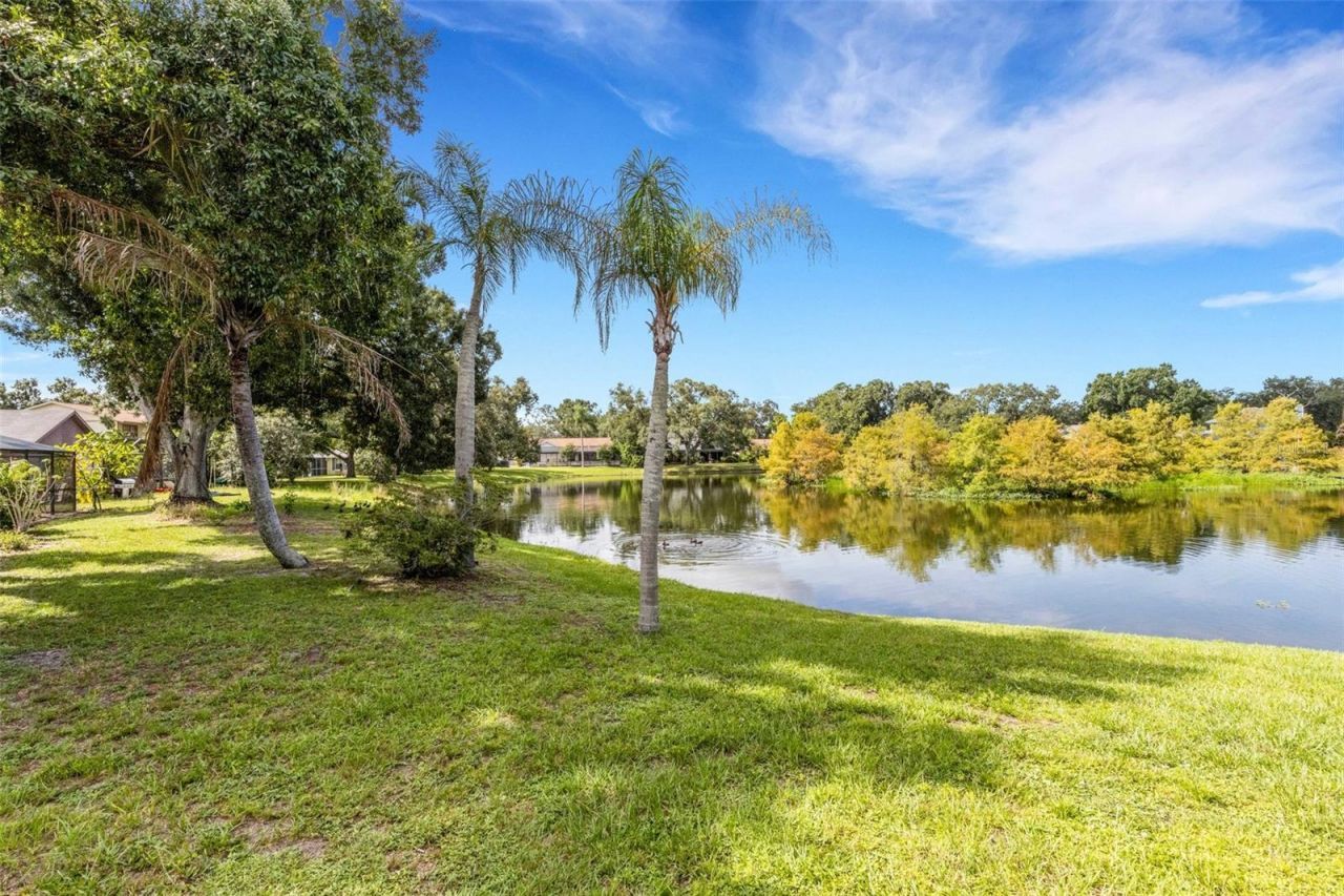 3476 Shady Brook Lane, Sarasota, FL 34243 Photo