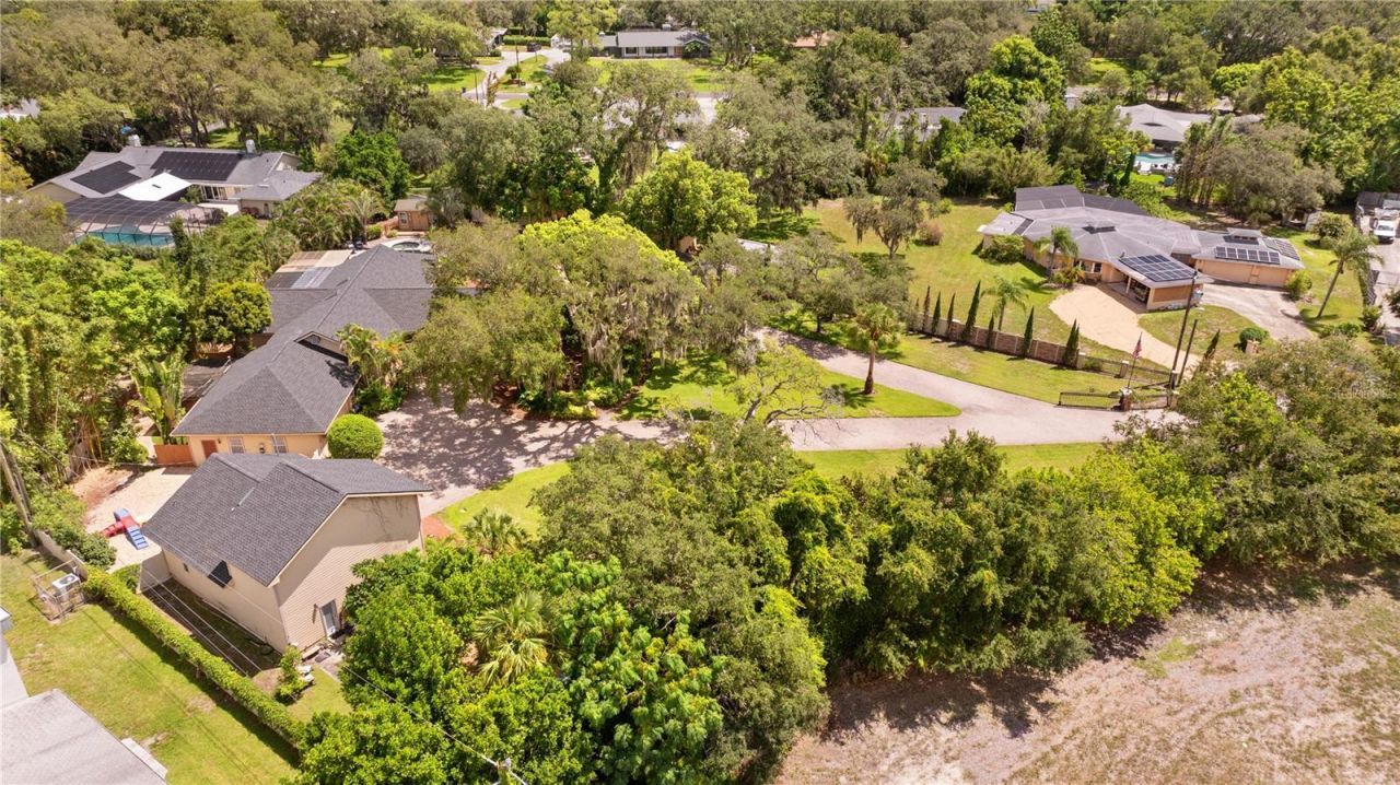 20 Bogie Lane, Palm Harbor, FL 34683 Photo