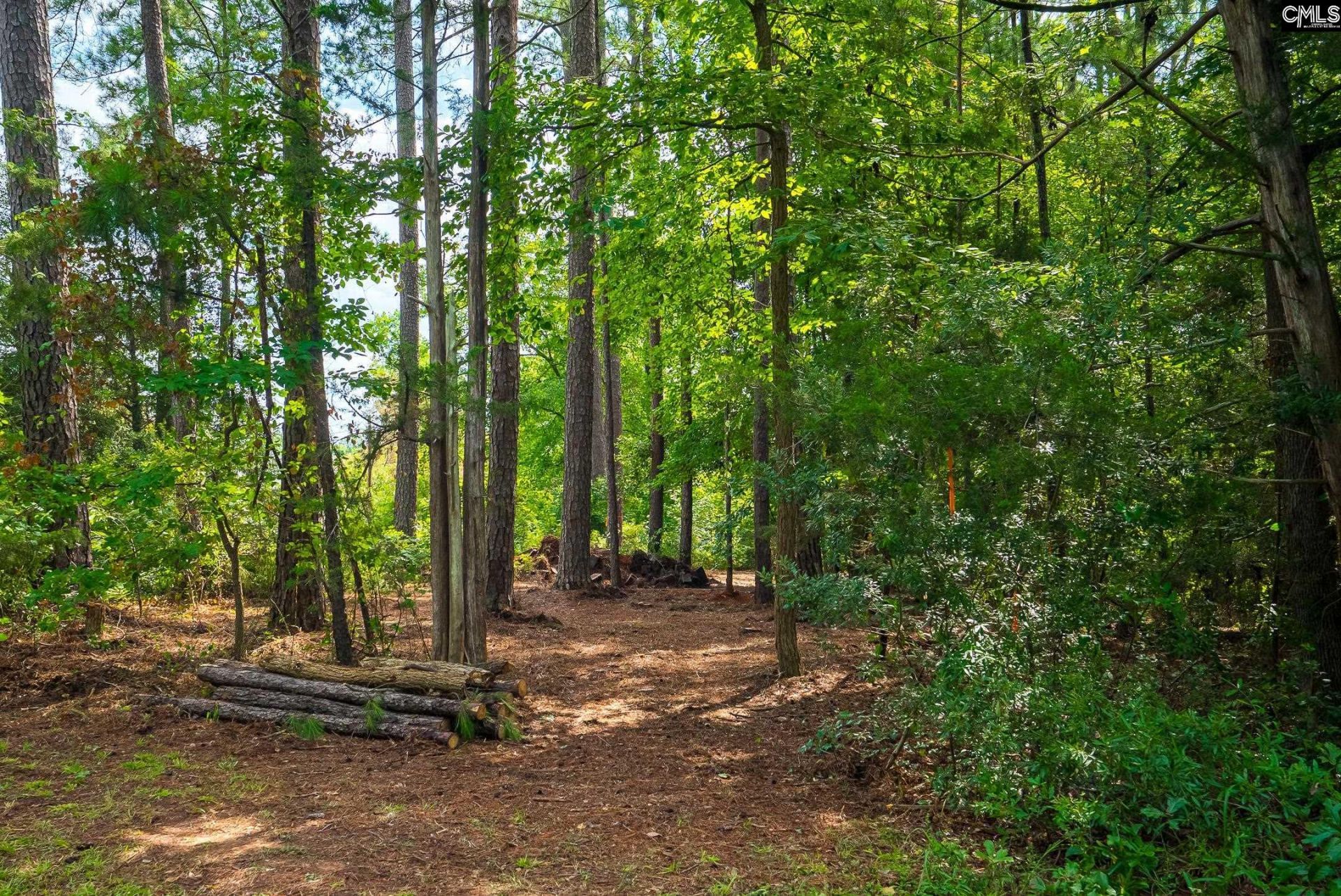 277 Cherry Circle Photo 14