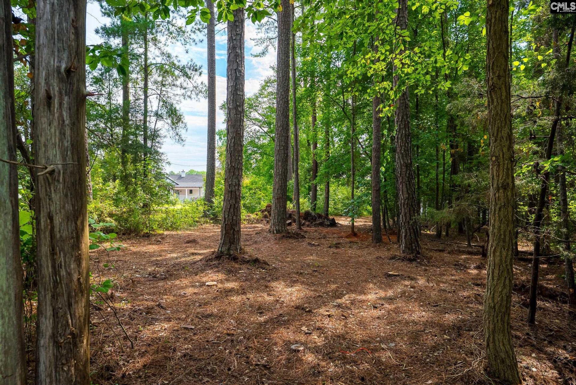 277 Cherry Circle Photo 27