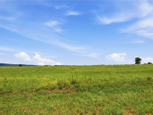 TBD Tract 6 Llewellyn Loop , Hector, AR 72843