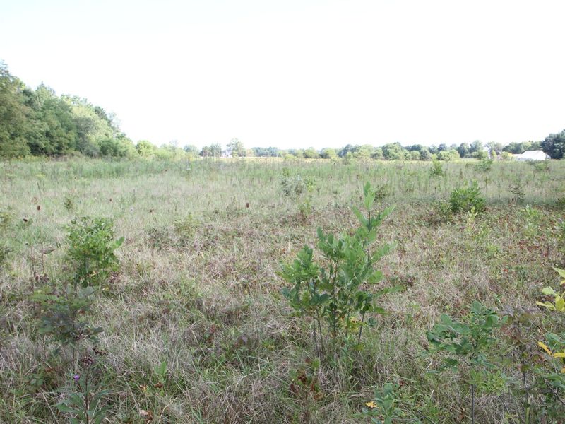 4346 U.S. 42, Delaware, OH 43015 Photo 3