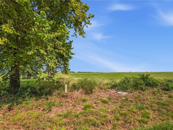 TBD Tract 5 Llewellyn Loop , Hector, AR 72843
