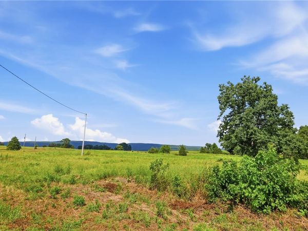 TBD Tract 4 Llewellyn Loop , Hector, AR 72843