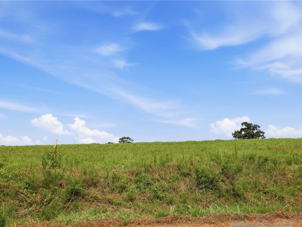 TBD Tract 3 Llewellyn Loop , Hector, AR 72843