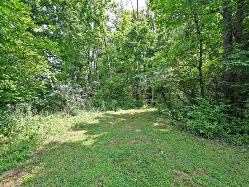 729 Mount Zion Road, Florence, KY 41042 Photo 46