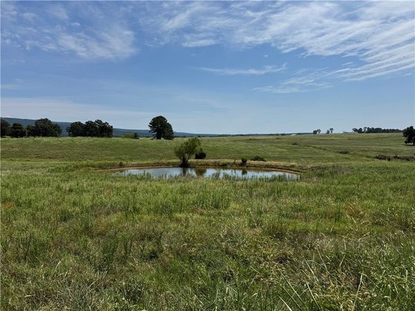 TBD Tract 2 Llewellyn Loop , Hector, AR 72843