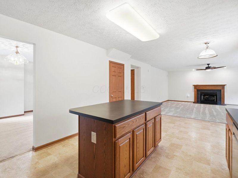 277 Indigo Blue Street, Delaware, OH 43015 Photo 17
