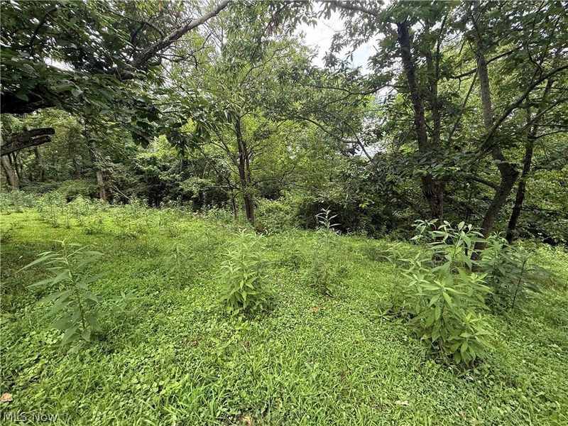 3823 County Rd 16, Corning, OH 43730 Photo 1
