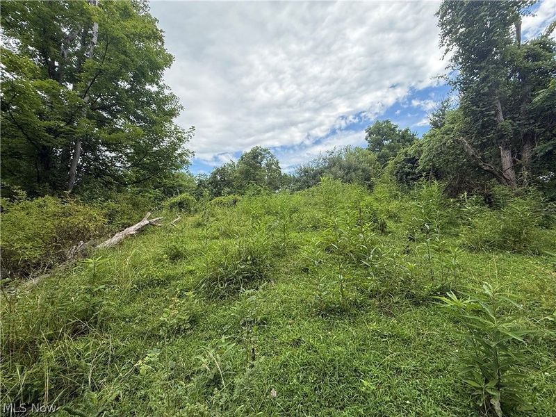 3823 County Rd 16, Corning, OH 43730 Photo 3