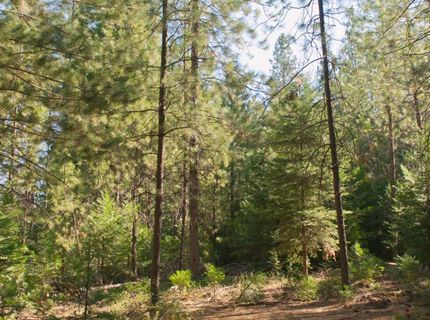 33525 Main St, Alta, CA 95701 Photo