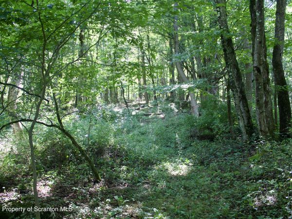 Belcher Road, Union Dale, PA 18470