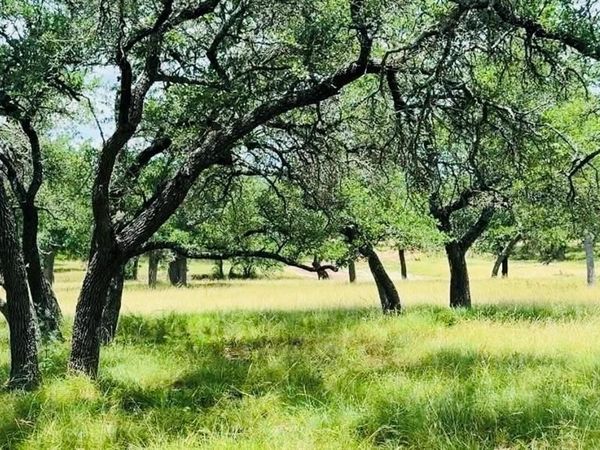 Lot 26 Swiss Ranch Rd , Round Mountain, TX 78663