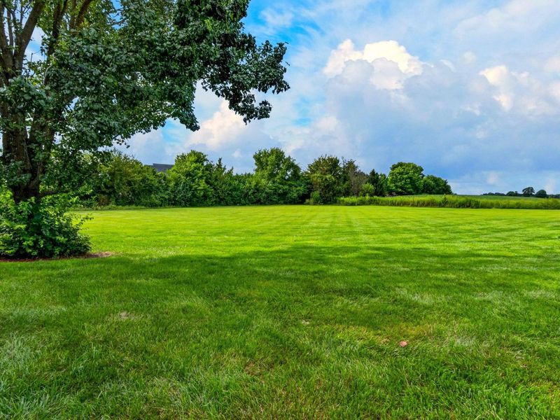 1369 Traci Lynn Court, Canal Winchester, OH 43110 Photo 11