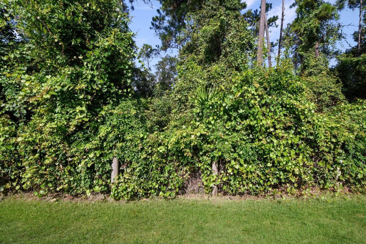 1024 Saint Ives Court , Mount Dora, FL 32757 Photo
