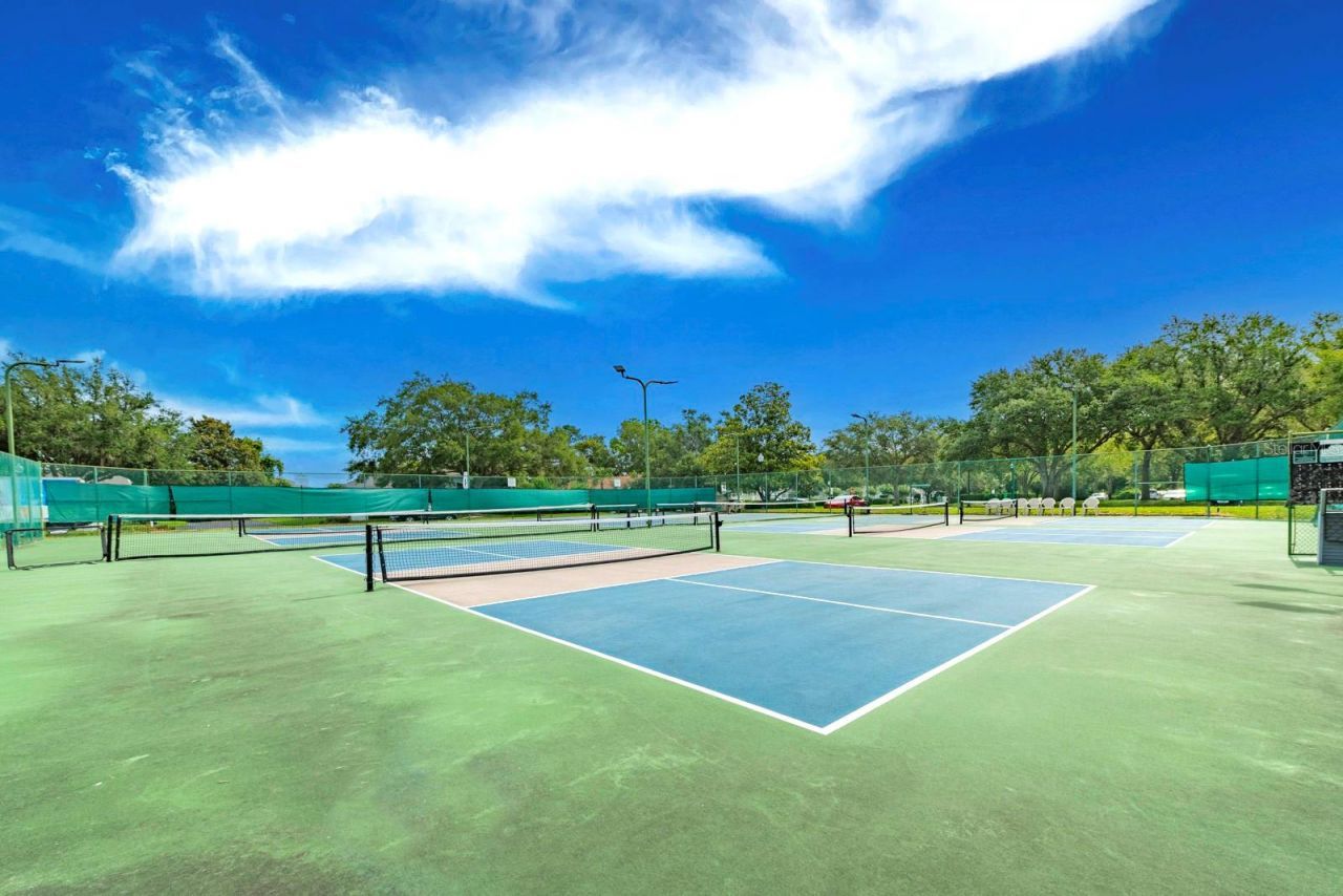 1024 Saint Ives Court , Mount Dora, FL 32757 Photo