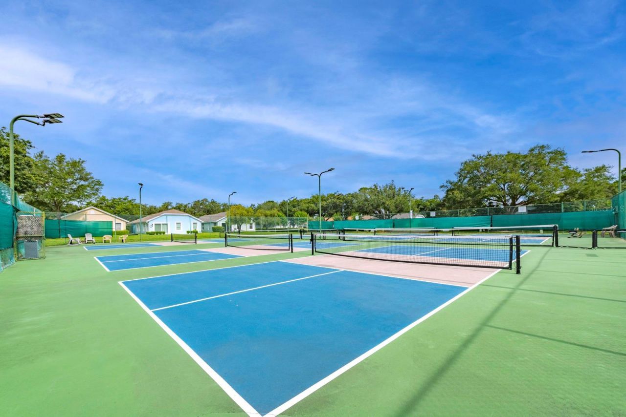 1024 Saint Ives Court , Mount Dora, FL 32757 Photo
