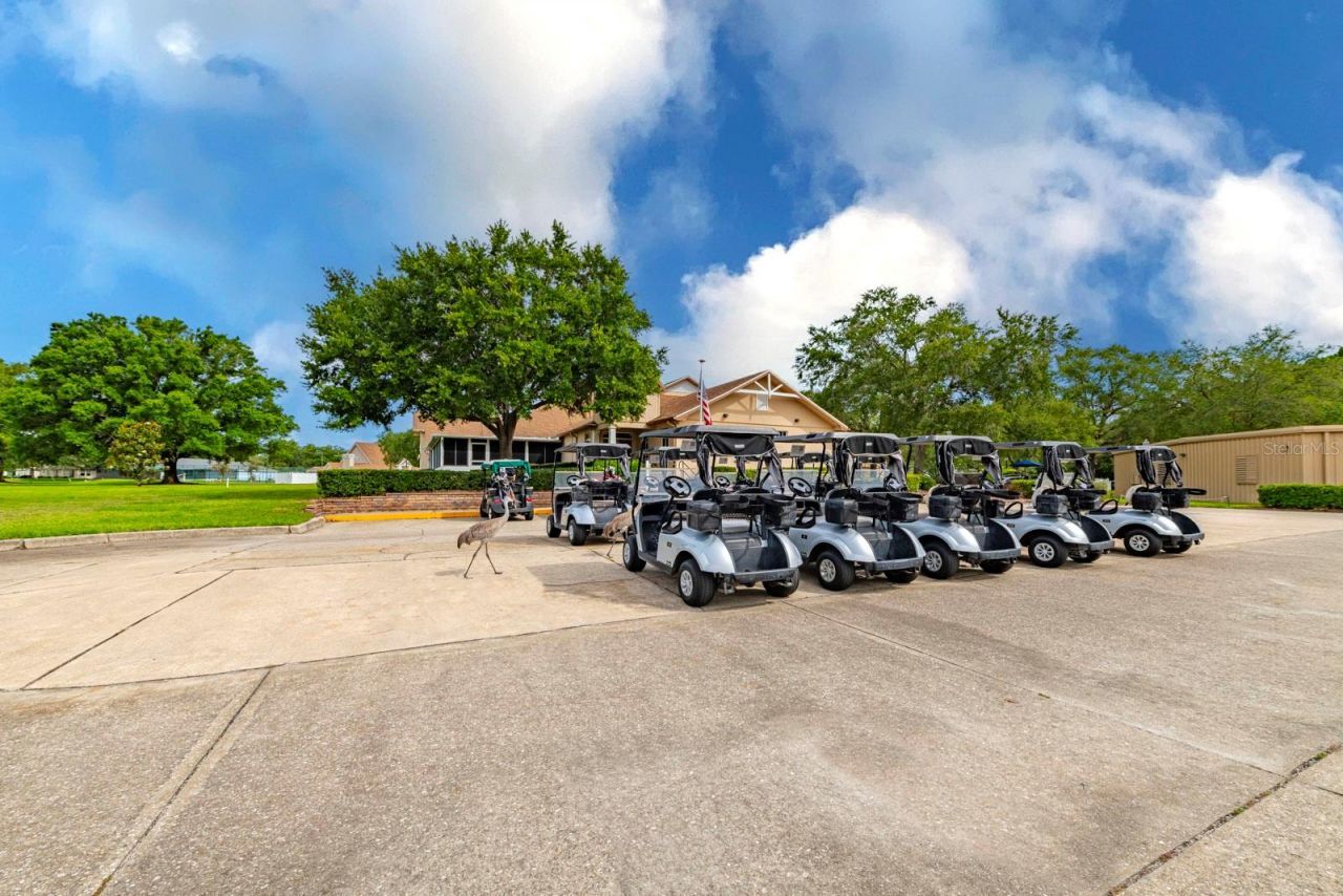 1024 Saint Ives Court , Mount Dora, FL 32757 Photo