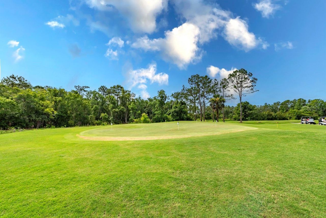 1024 Saint Ives Court , Mount Dora, FL 32757 Photo