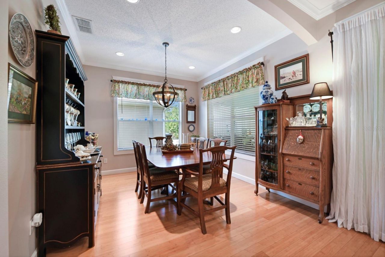 1024 Saint Ives Court , Mount Dora, FL 32757 Photo