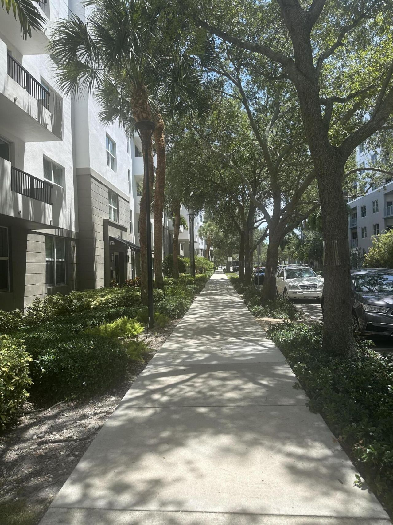 2401 NE 65th Street, Fort Lauderdale, FL 33308 Photo