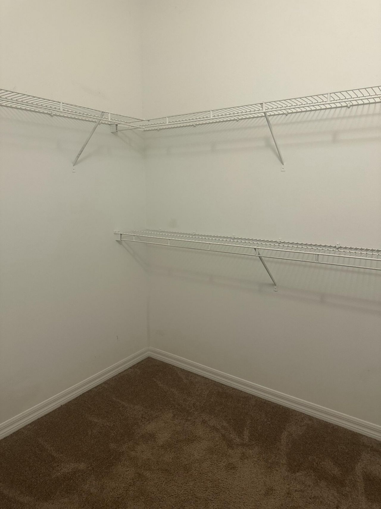 2401 NE 65th Street, Fort Lauderdale, FL 33308 Photo