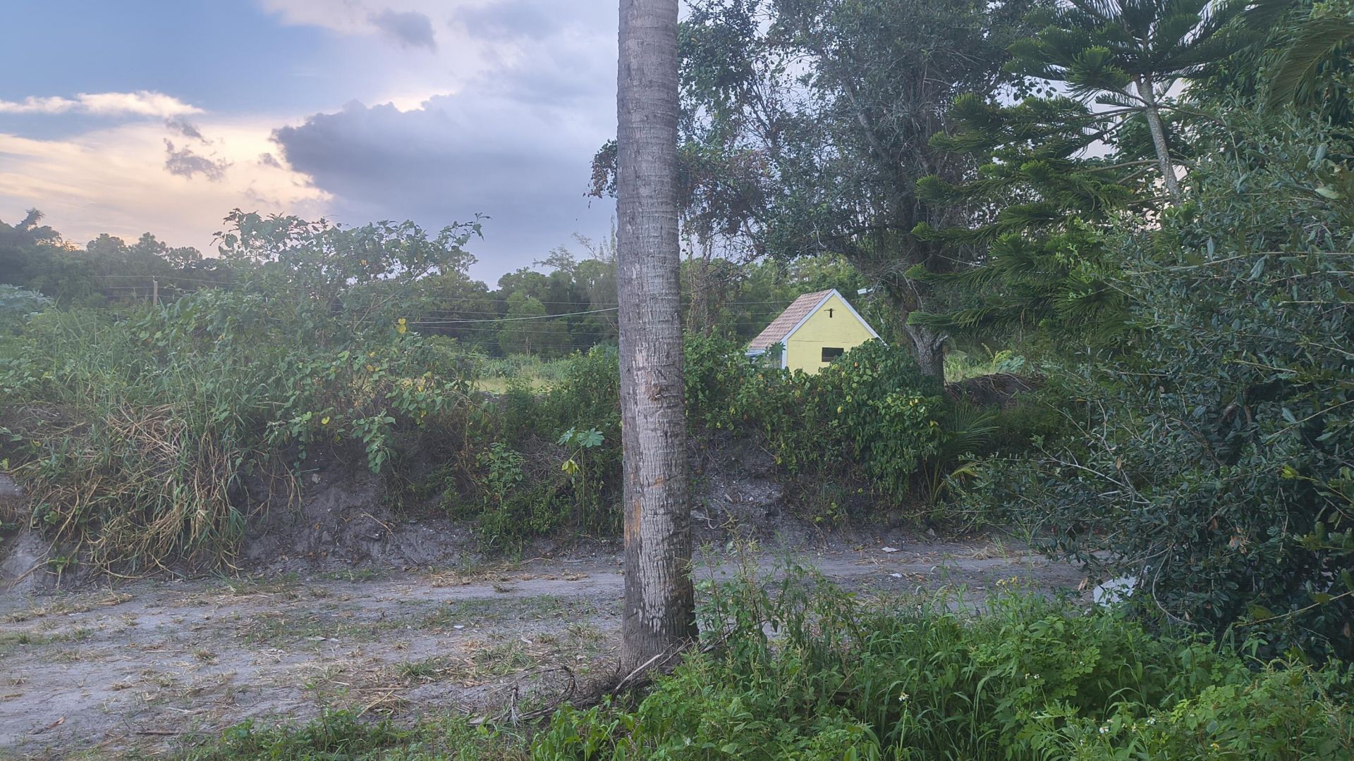 13859 Okeechobee Boulevard, Loxahatchee Groves, FL 33470 Photo