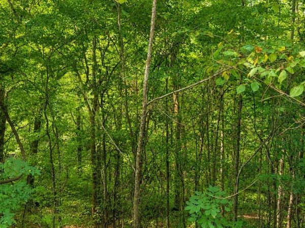 0 Shoreside Dr , Unit 114, Smithville, TN 37166
