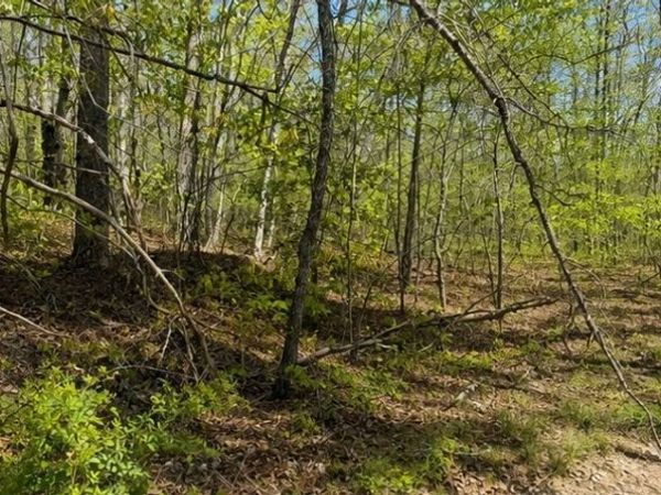 0 Doe Creek Lake Dr, Unit 124, Sparta, TN 38583