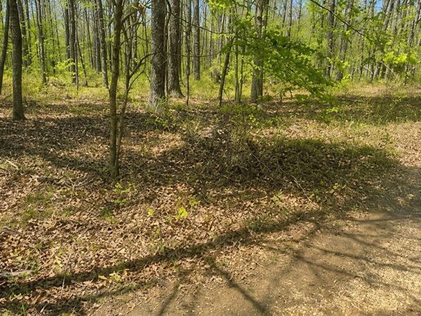0 Doe Creek Lake Dr , Unit 129, Sparta, TN 38583