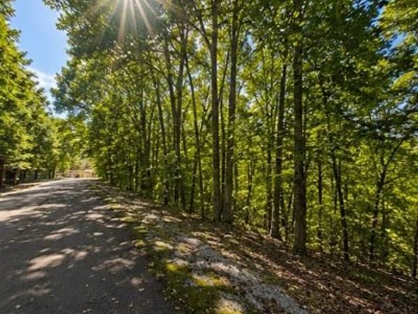 0 Swiper Dr , Unit 51, Smithville, TN 37166