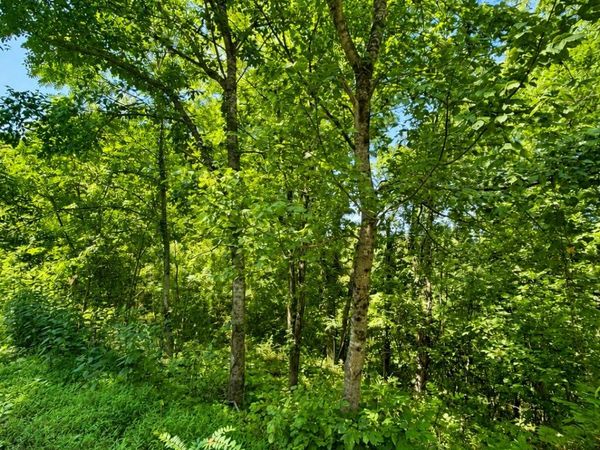 0 Harbor Pointe Lane , Unit 25, Smithville, TN 37166