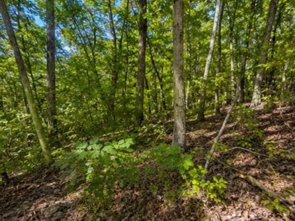 0 Swiper Dr , Unit 50, Smithville, TN 37166