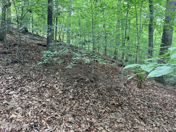 Lot 128 Islandview Point, Sharps Chapel, TN 37866
