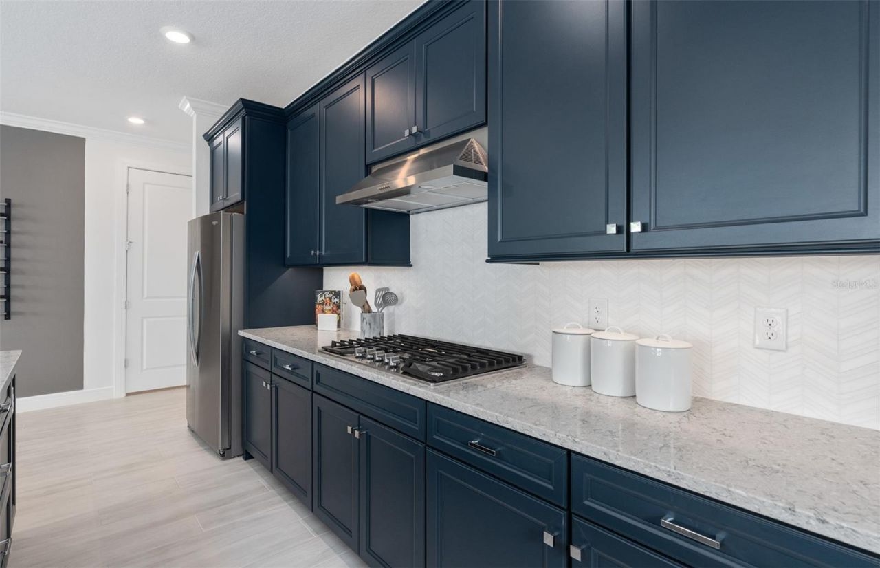 1313 Zesty Citrus Lane, Minneola, FL 34715 Photo