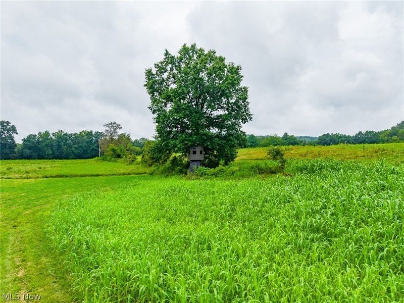 Pigeon Gap Road, Cambridge, OH 43725 Photo 10