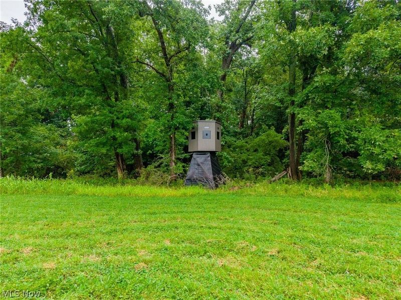 Pigeon Gap Road, Cambridge, OH 43725 Photo 11