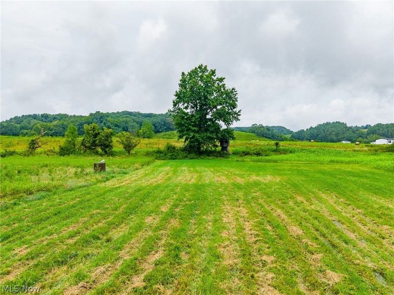 Pigeon Gap Road, Cambridge, OH 43725 Photo 3
