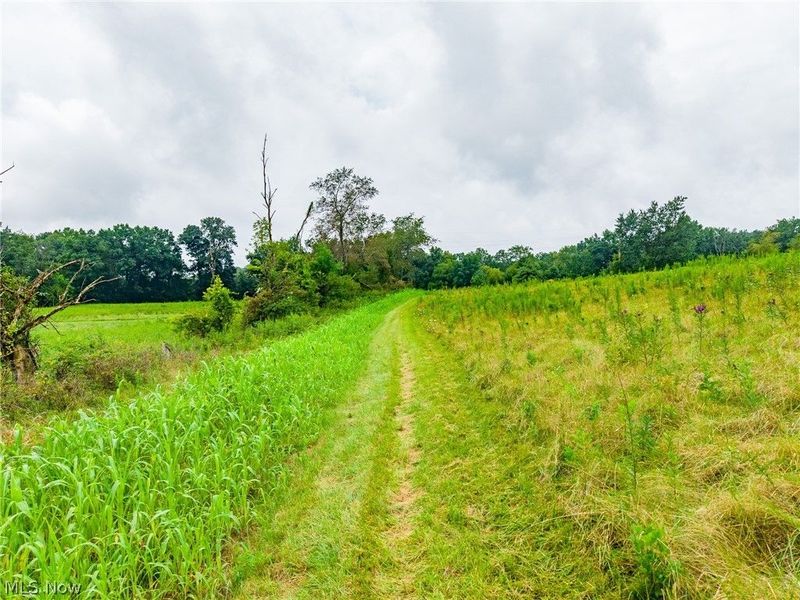 Pigeon Gap Road, Cambridge, OH 43725 Photo 49