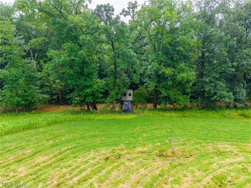 Pigeon Gap Road, Cambridge, OH 43725 Photo 5