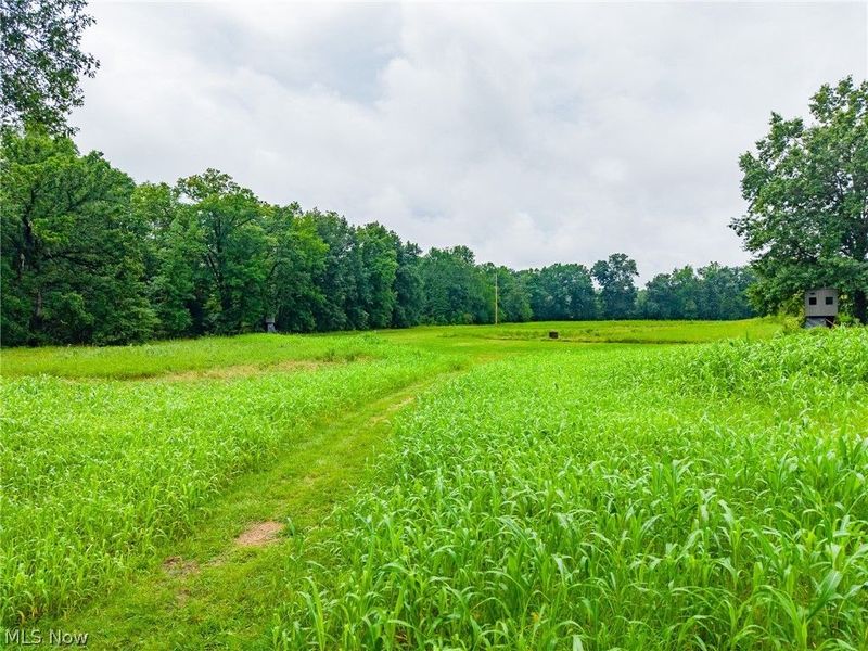 Pigeon Gap Road, Cambridge, OH 43725 Photo 6
