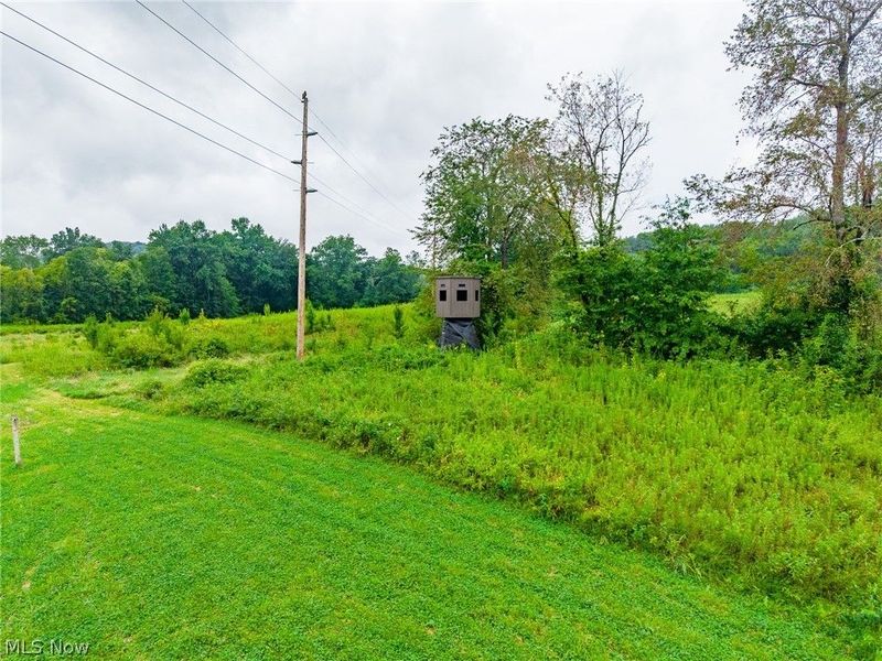 Pigeon Gap Road, Cambridge, OH 43725 Photo 8